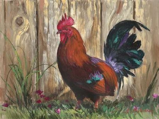 Bantie Rooster Canvas Art - N Mirkovich (18 x 24)
