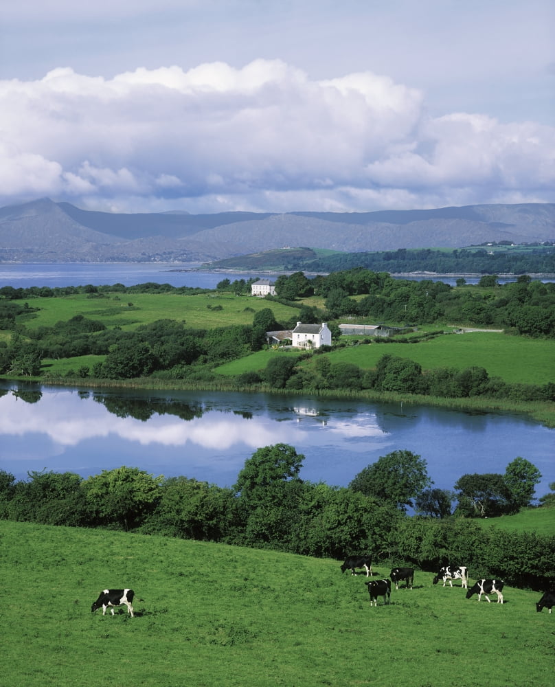 Bantry Bay Co Cork Ireland Canvas Art - The Irish Image Collection Design Pics (26 x 34)