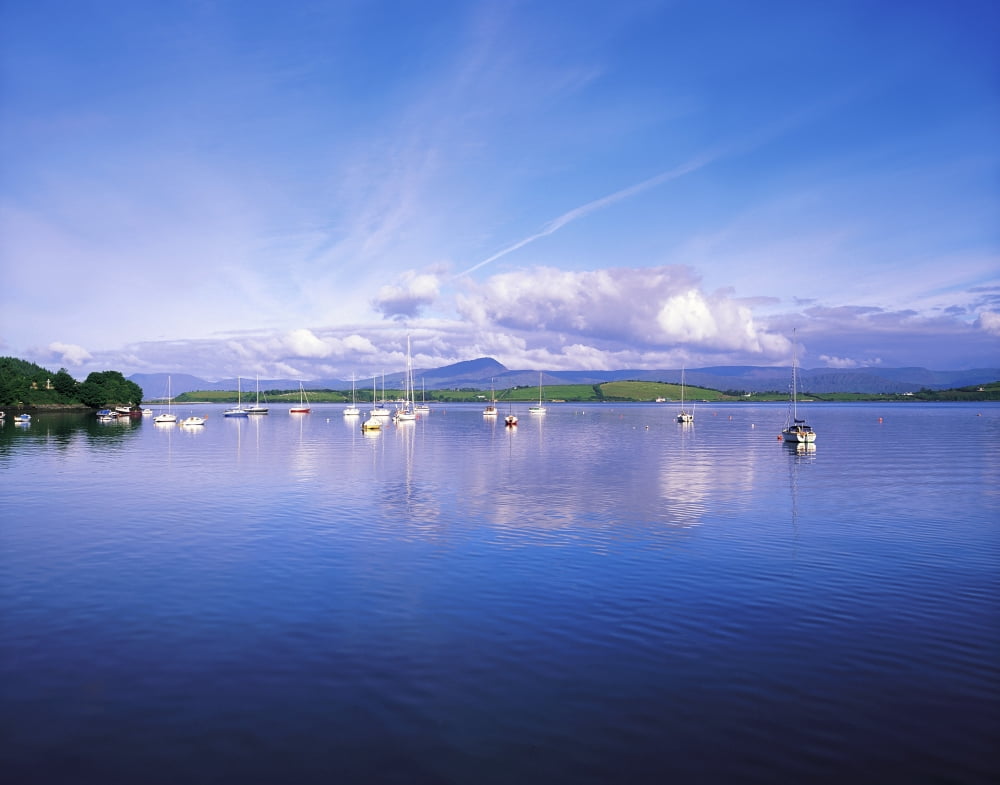 Bantry Bay Whiddy Island Co Cork Ireland Boats Moored In A Bay Canvas Art - The Irish Image Collection Design Pics (34 x 26)