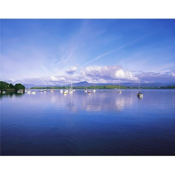 Bantry Bay Whiddy Island Co Cork Ireland; Boats Moored In A Bay Poster Print