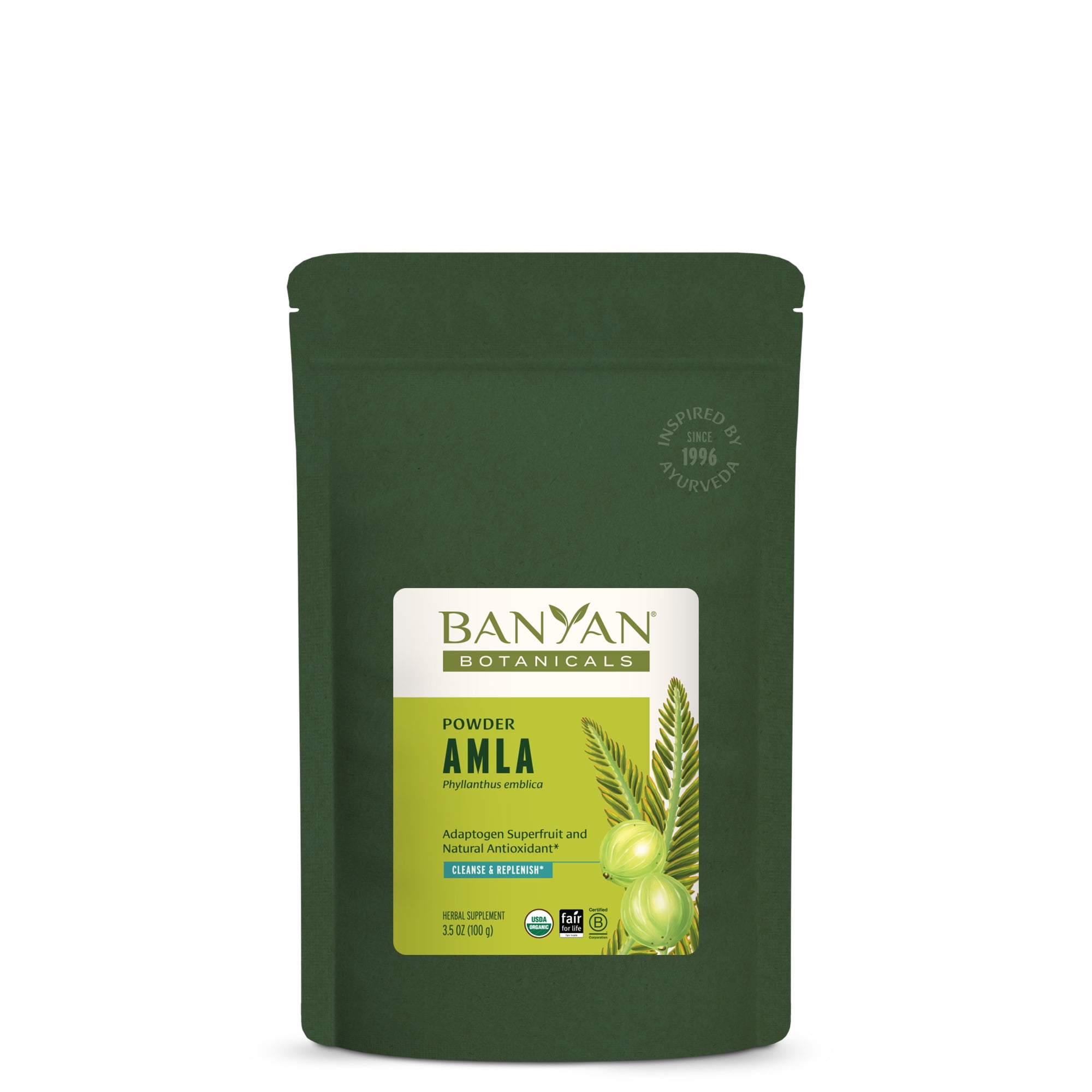 Banyan Botanicals Amla (Amalaki) Powder – Organic Phyllanthus Emblica ...