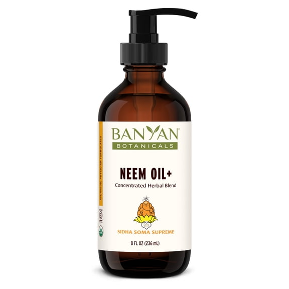 Banyan Botanicals Sidha Soma Supreme Neem Oil+  Ayurvedic Massage Oil with Organic Neem Leaf  For Healthy and Radiant Skin  8 oz  Non GMO Sustainably Sourced Ayurvedic Physician Formulated