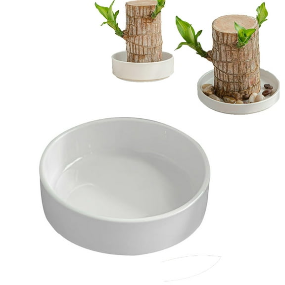 Banzch Brazilian Wood Pallet White Ceramic Saucer, Ceramic Plant Saucer for Pots, Office Desk Decorations Plant Pot Base Office Decor Brazilian Wood Ceramic Tray,2024 Ideal for Indoor Decoration