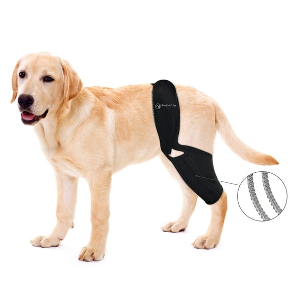 BaoGuai Knee Brace for Dogs ACL with Side Stabilizers,Knee Cap Dislocation, Arthritis - Keeps The Joint Warm and Stable - Extra Support - Reduces Pain and Inflammation - 7Sizes (L)