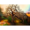 thumbnail image 1 of Baobab Tree2, 1 of 2