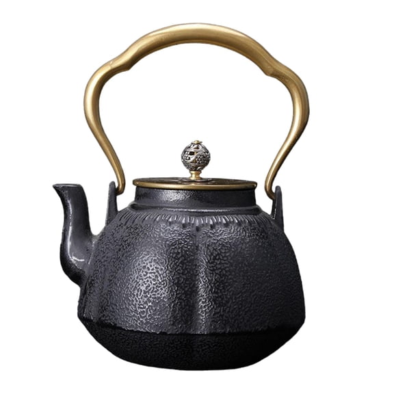 Baoblaze Cast Iron Kettle Cast Iron Tea Kettle for Picnic Gas Induction Cooker Office