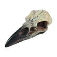 thumbnail image 1 of Baoblaze Halloween Raven Skull Decor Gothic Necklace Decor for Tabletop Party Holiday 60mmx28mmx22.5mm, 1 of 8