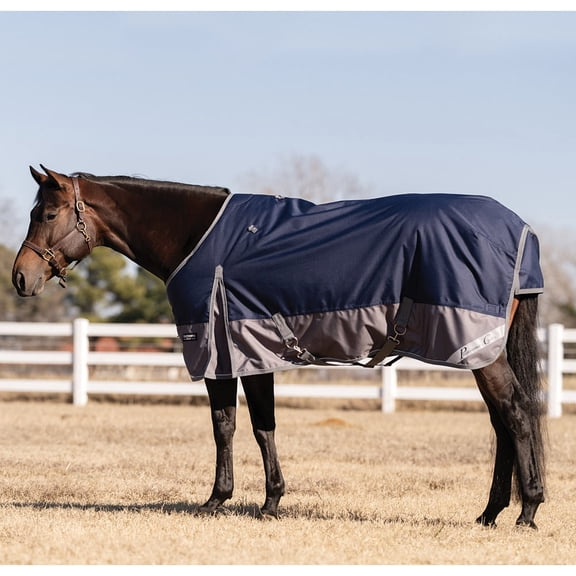 Professionals Choice Equisential Navy Horse 600D 240g Winter Blanket Navy 78
