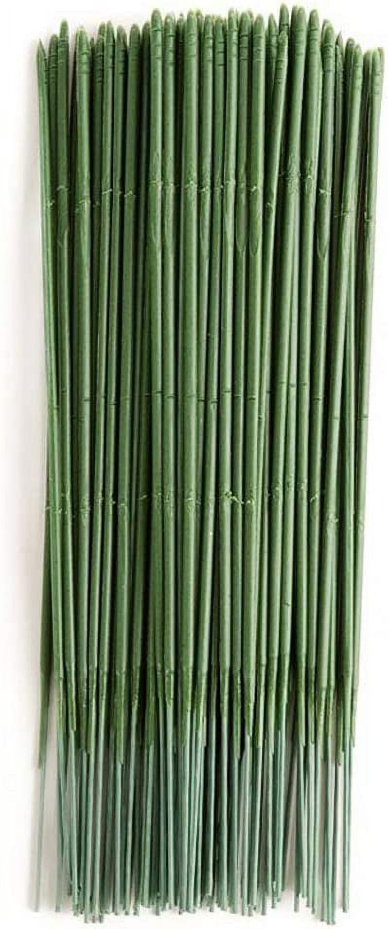 Baodeli 100pcs Plastic Floral Stem, Artificial Flower Rod, Plant Stub