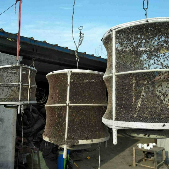 Baofu The Effective Trap Of Outdoor Fly Catcher Cage Net Is Flies And Mosquitoes for Home
