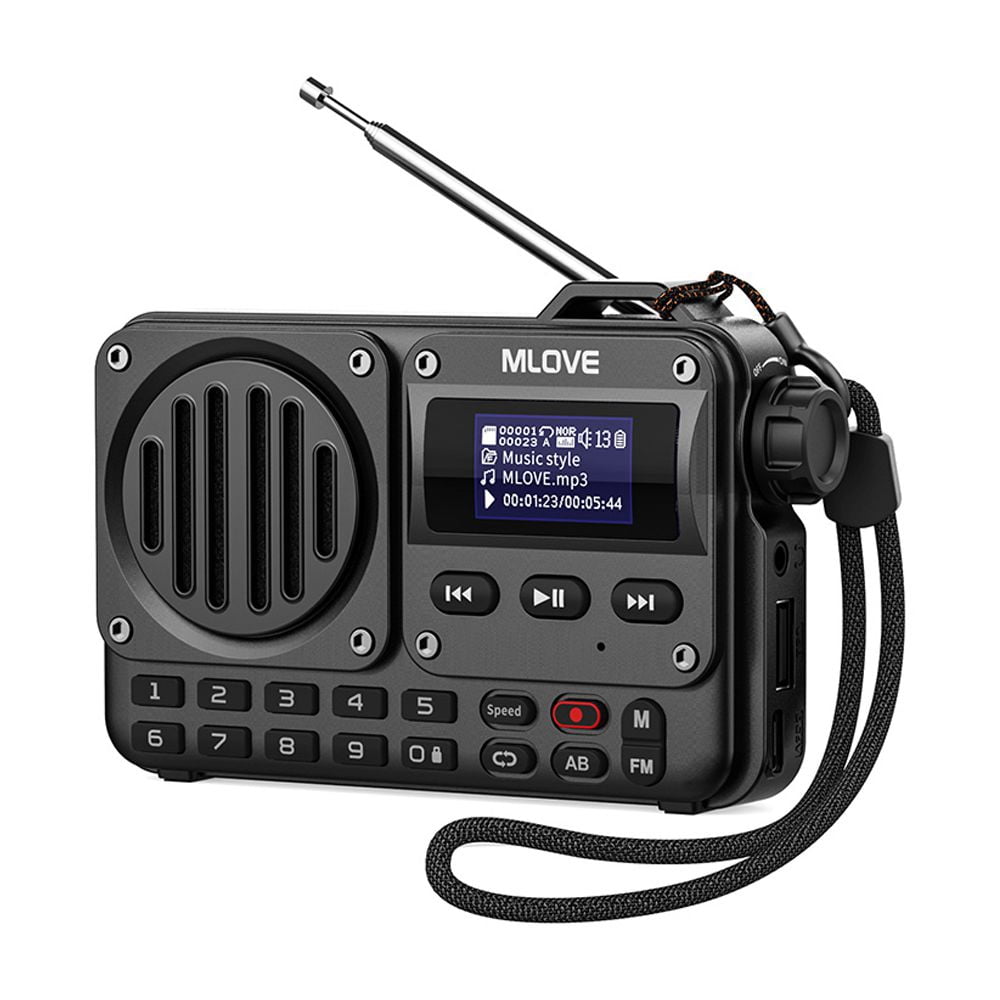Baole Portable Bluetooth Speaker with FM Radio & MP3 Player – LCD ...