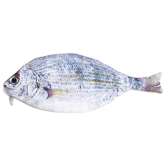 Baorden Creative Fish Pencil Case