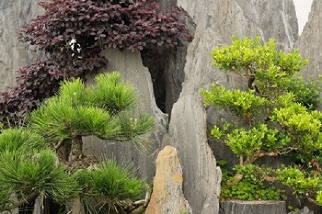Baos Family Garden Huangshan China Canvas Art - Adam Jones DanitaDelimont (35 x 23)