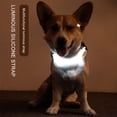 thumbnail image 1 of Baozhu LED Dog Collar, Waterproof Durable Glowing Dog Collar 6 Colors for Choice, 1 of 9