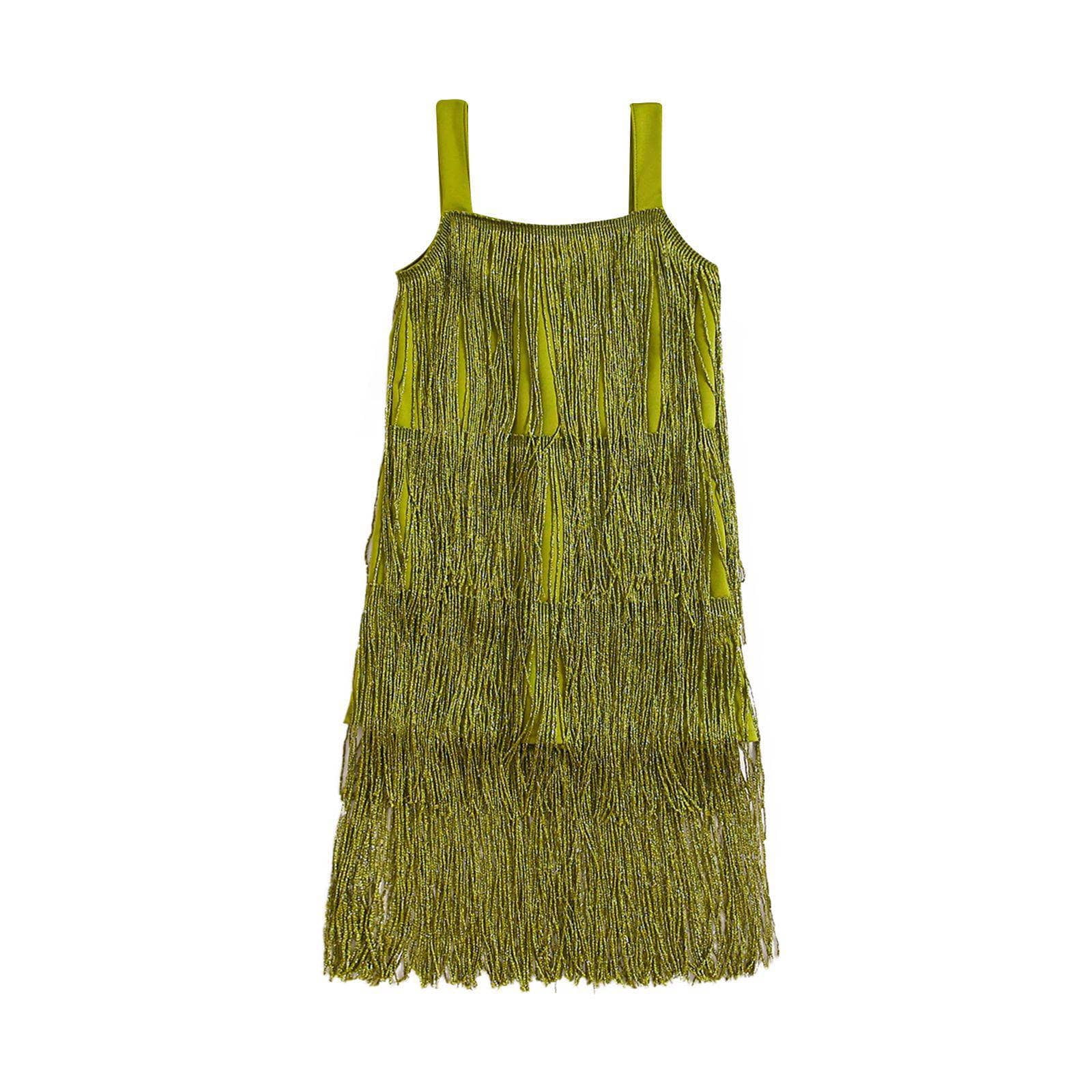 Baozhu Little Girls Sequin Fringe Dress Sparkling Tassel Sleeveless Dress  Kids Dance Wear Party Latin Dance Dress 1-6T Purple 2-3Y - Walmart.com