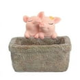 thumbnail image 1 of Baozhu Succulent Plant Pot, Cute Garden Pig Designed Shaped Indoor Bonsai Plant Pots for Cars Desks & Home Decoration, 1 of 3