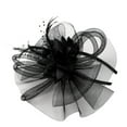 thumbnail image 1 of Baqcunre Caps for Women,Mesh Hat with Feathers And Ribbons - Fashion Wedding Fascinator for Women Black, 1 of 2