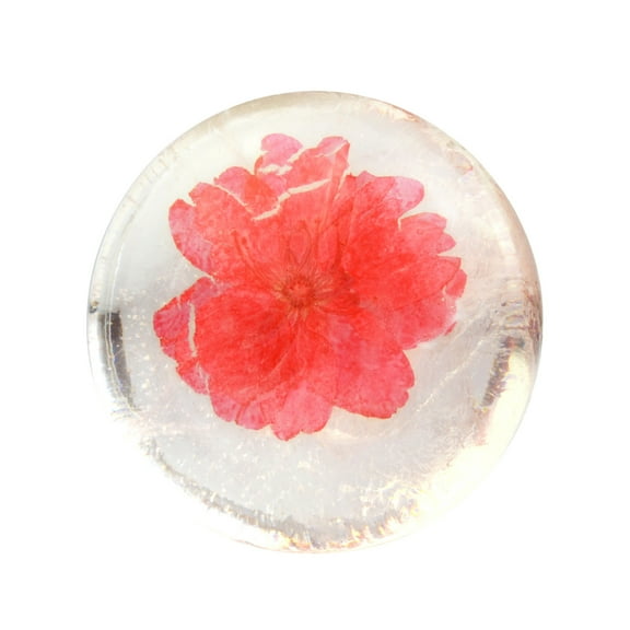 Bar Soap, Aminoacid Transparency Soap Oil Hand Made Soap Clean Moisturizing Soap Moisturizing Soap Adult And Child Bath Hand Soap 80g