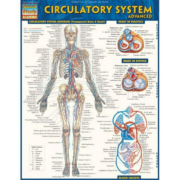 BarCharts 9781423220305 Circulatory System Advanced Quickstudy Easel