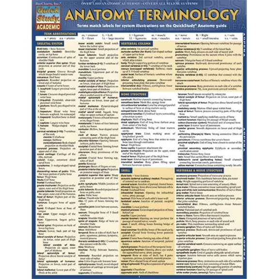 BarCharts Anatomy Terminology Quickstudy Easel