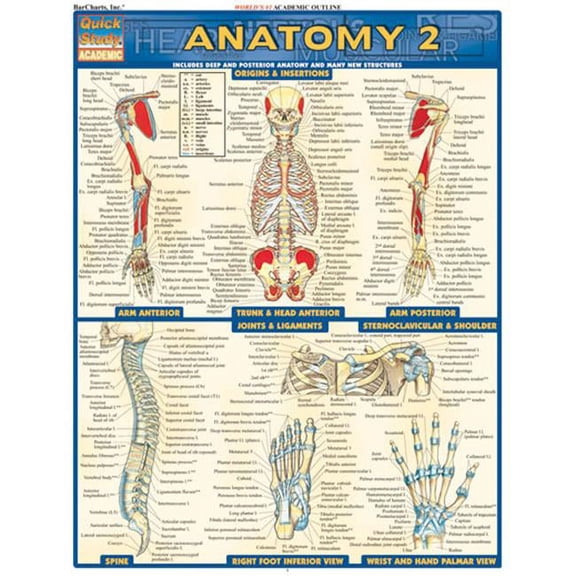 QuickStudy BarChart: Anatomy 2