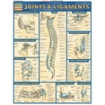 thumbnail image 1 of BarCharts- Inc.  Joints & Ligaments, 1 of 1