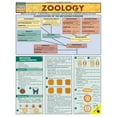 thumbnail image 1 of BarCharts- Inc.  Zoology, 1 of 1