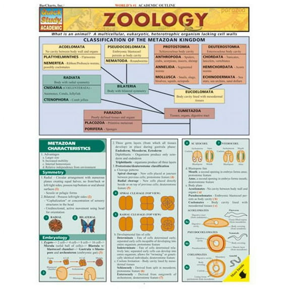 BarCharts- Inc. Zoology