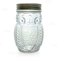 thumbnail image 1 of BarConic® Owl Mason Jar with Lid, 12 Ounce, 1 Count, New, 1 of 5