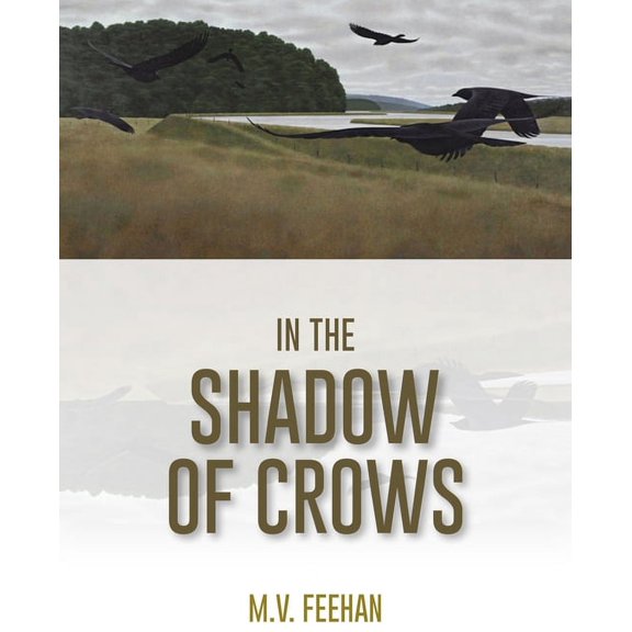 Baraka Fiction: In the Shadow of Crows (Paperback)