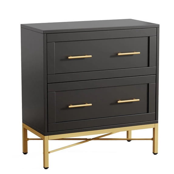 Barara King File Stroage Cabinet, File Cabinet, Office Filing Cabinet Organizer, 2-Drawer File Cabinet, Lateral Storage Cabinet Printer Stand,Black