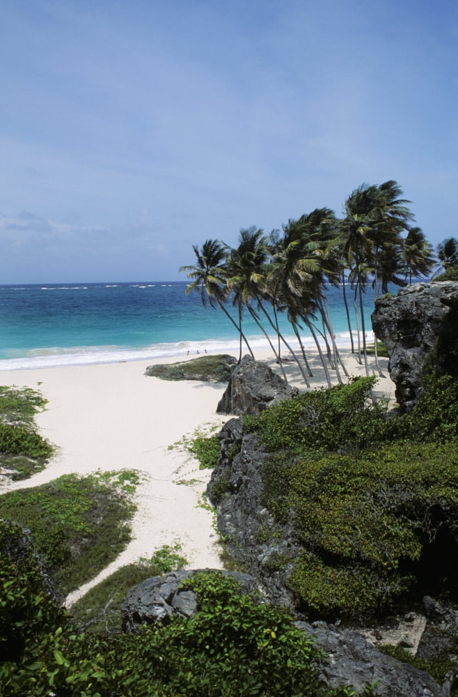 Barbados Caribbean Landscape of tropical white sand beach Bottom Bay Canvas Art - Bill Bachmann Design Pics (22 x 34)