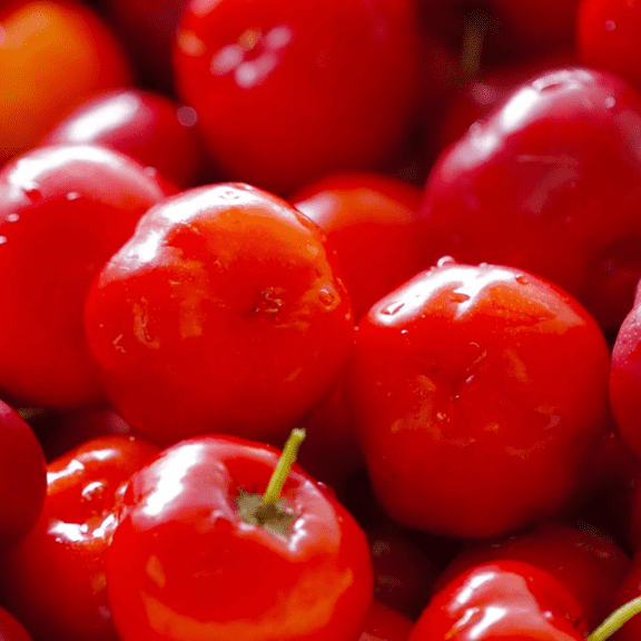 Barbados Cherry Tree Live, Red Cherry Tree, 4-6 Inc, Outdoor Planting