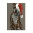 thumbnail image 1 of Barbara Keith 'Slightly Exuberant' Canvas Art, 1 of 3
