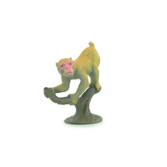 Barbary Macaque, Barbary ape or Magot, Rubber Primate, Animal, Educational, Realistic Figure, Lifelike, Model, Toys, Gift, 2 inches tall. F1784 B122