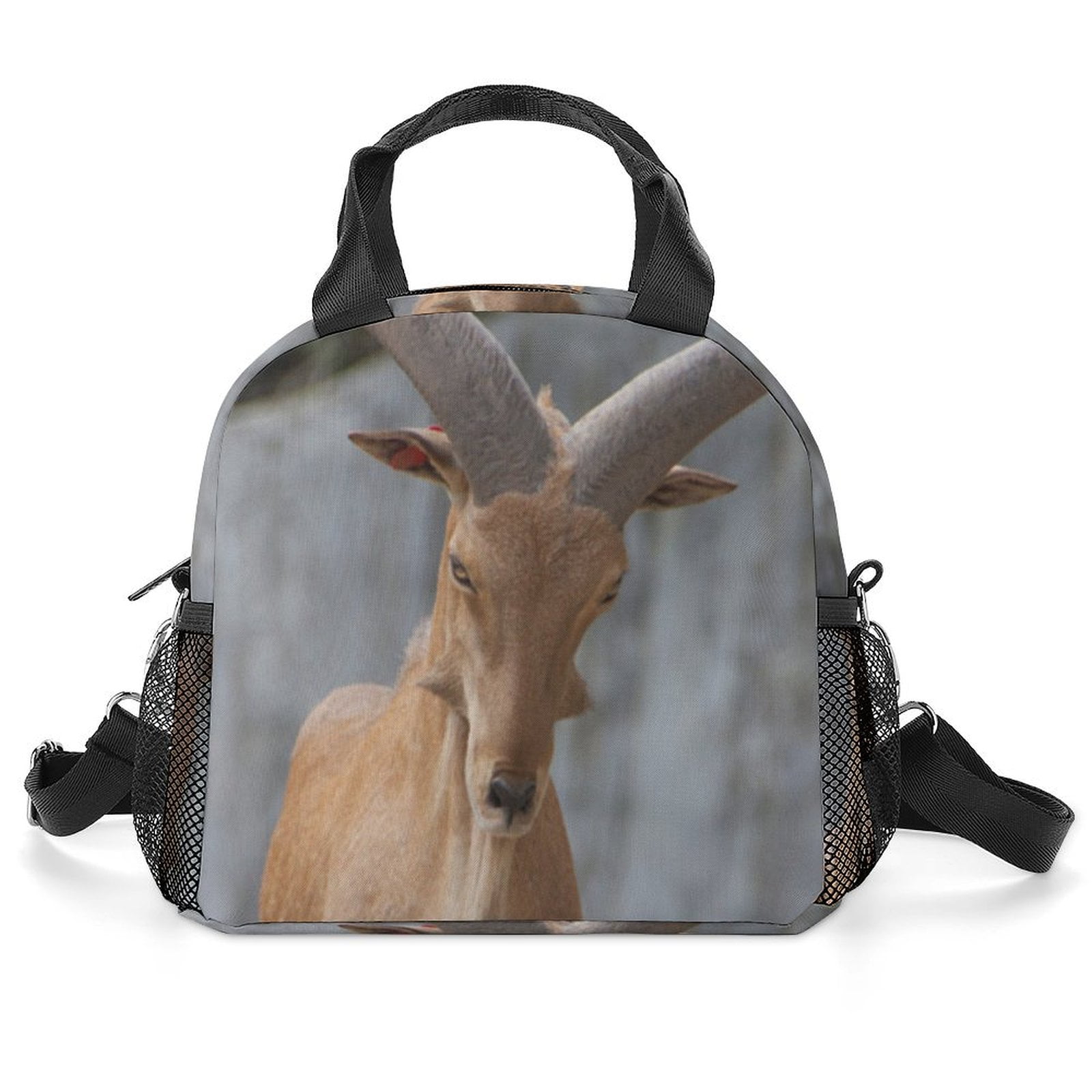 Barbary Sheep Biological Name As Ammotragus Lervia Funny Insulated