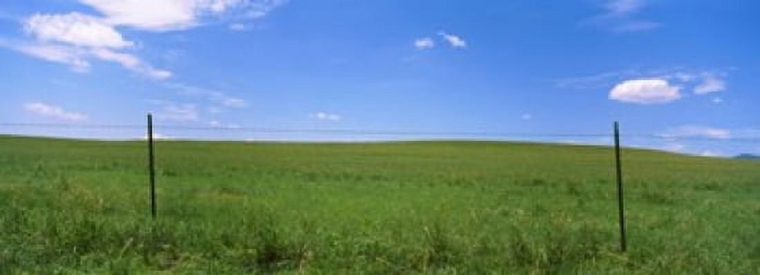 Barbed Wire fence in a field San Rafael Valley Arizona USA Canvas Art - Panoramic Images (36 x 13)