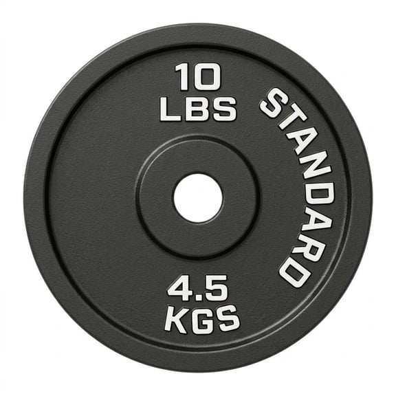 Barbell Cast Iron 2-Inch Weight Plates for Strength Training & Weightlifting, 10LBS(Pair)