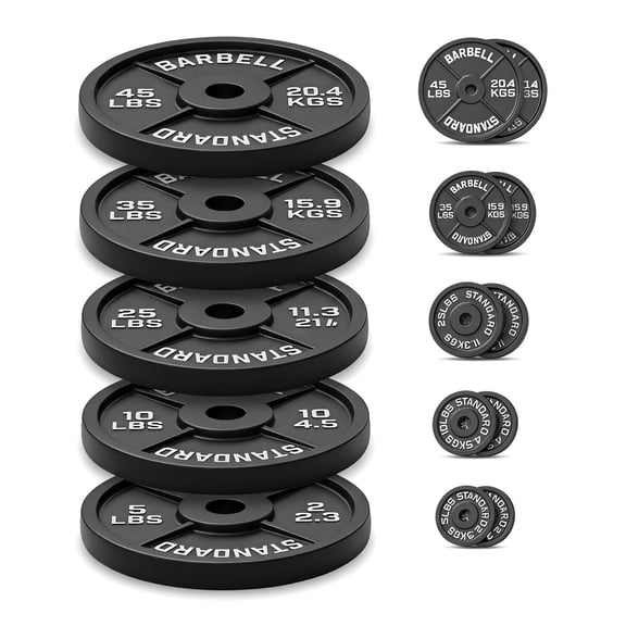 Barbell Cast Iron 2-Inch Weight Plates for Strength Training & Weightlifting, 240LB Set