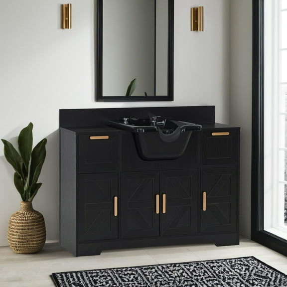 BarberPub Bathroom Vanities Storage with Sprayer Faucet, Hair Wash Backwash Sink Shampoo Station, Black