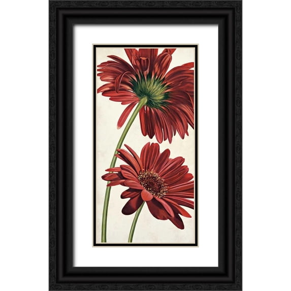 Barberini, Eva 14x24 Black Ornate Wood Framed with Double Matting Museum Art Print Titled - Armonie in rosso