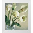 thumbnail image 1 of Barberini, Eva 15x17 White Modern Wood Framed Museum Art Print Titled - Calle in vaso, 1 of 4