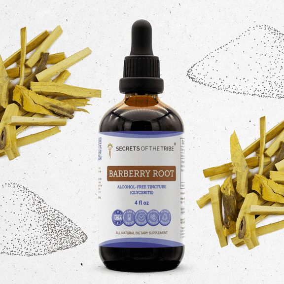 Secrets Of The Tribe Barberry Root Tincture Dietary Supplement, Natural Herbal Extract for Immune Support, Barberry (Berberis vulgaris) Dried Root Bark, Alcohol-Free Extract, Drops 4 oz