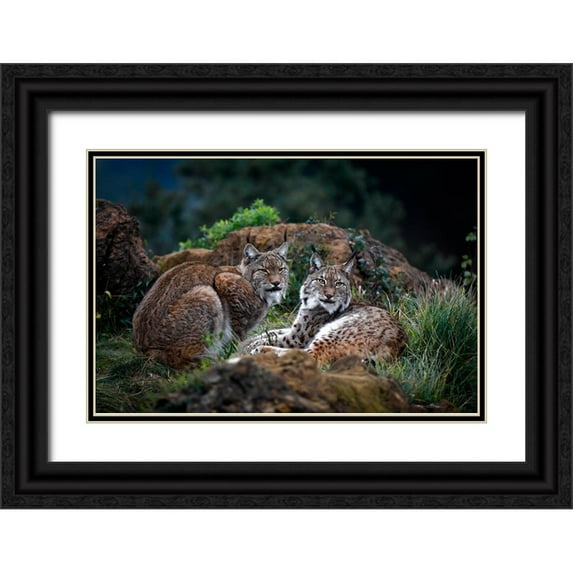 Barbieri, Gianfranco 18x13 Black Ornate Wood Framed with Double Matting Museum Art Print Titled - Moonschein Lovers