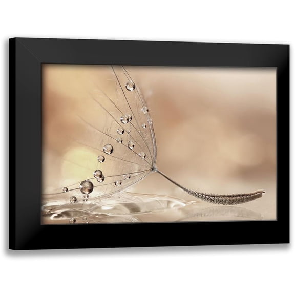 Barbieri, Rina 14x11 Black Modern Framed Museum Art Print Titled - Prestige