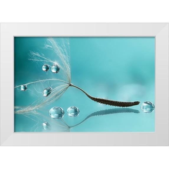 Barbieri, Rina 32x23 White Modern Wood Framed Museum Art Print Titled - Water