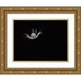thumbnail image 1 of Barchana, Dani 24x19 Gold Ornate Wood Framed with Double Matting Museum Art Print Titled - Alien, 1 of 4