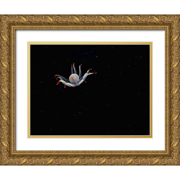 Barchana, Dani 24x19 Gold Ornate Wood Framed with Double Matting Museum Art Print Titled - Alien