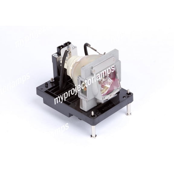 Barco RLM W12 Projector Lamp with Module