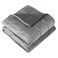 thumbnail image 1 of Bare Home 10 lbs Weighted Blanket for Kids - 40" x 60" - Minky Fleece, Light Gray, 1 of 10